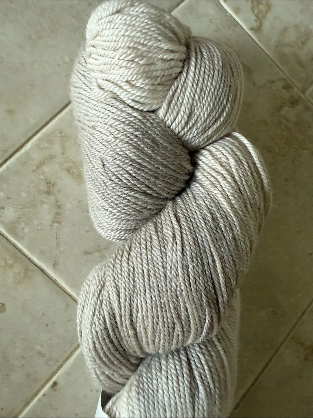 Lorna's Laces Hand-Dyed Yarn - Buckingham Fountain (Cream/Taupe)